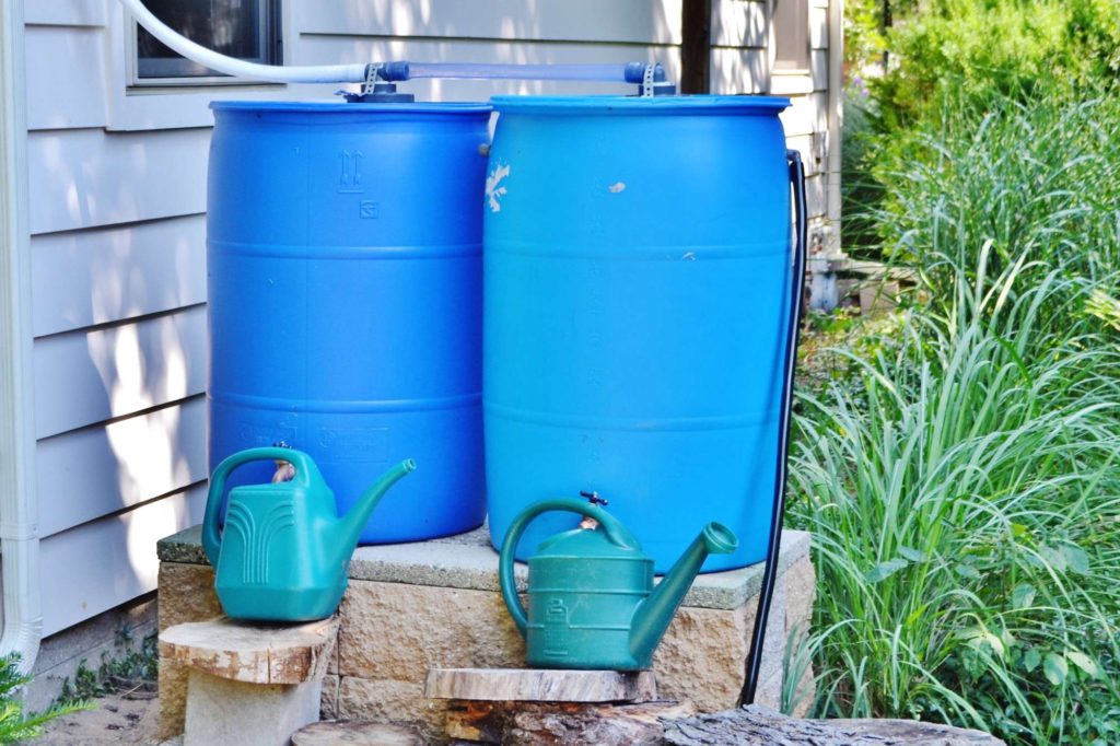 Rain barrels to catch the rain to water the garden and flowers! Water conservation